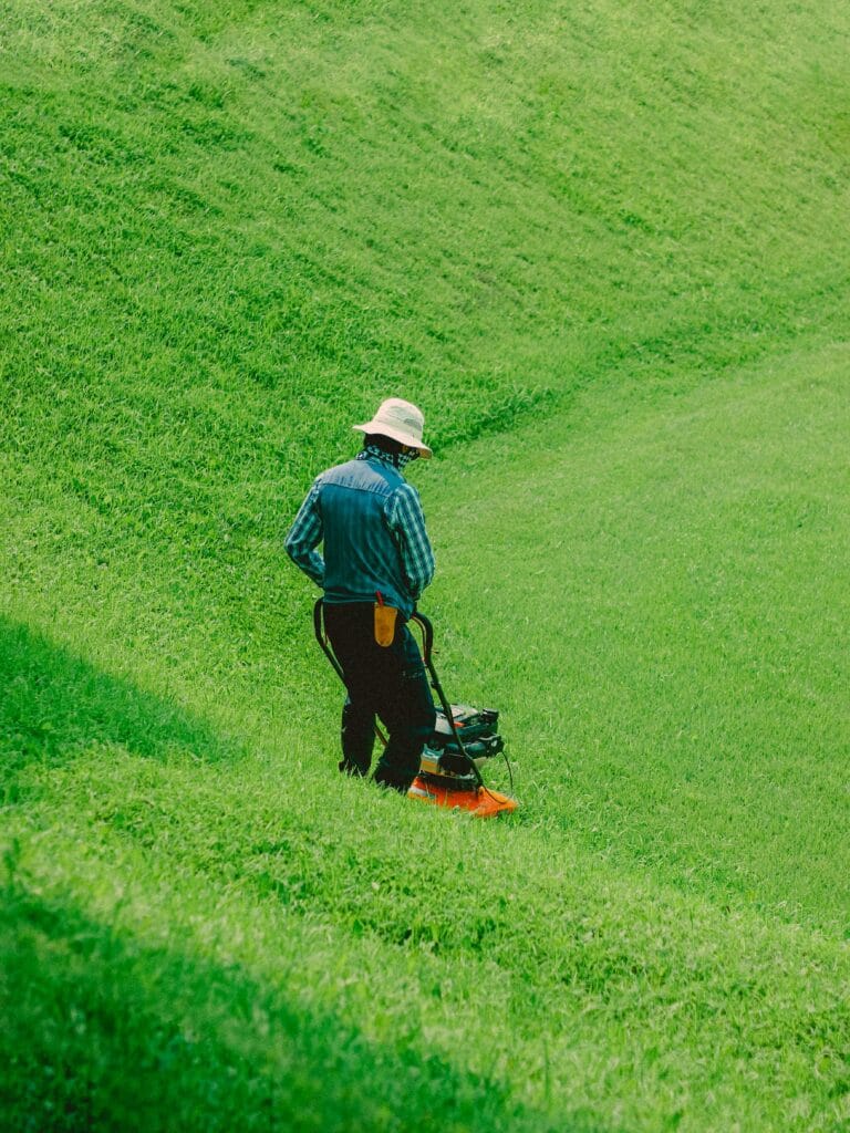 pexels-photo-20727438-20727438 Back view of a man mowing grass on a sunny day with a vibrant green lawn.