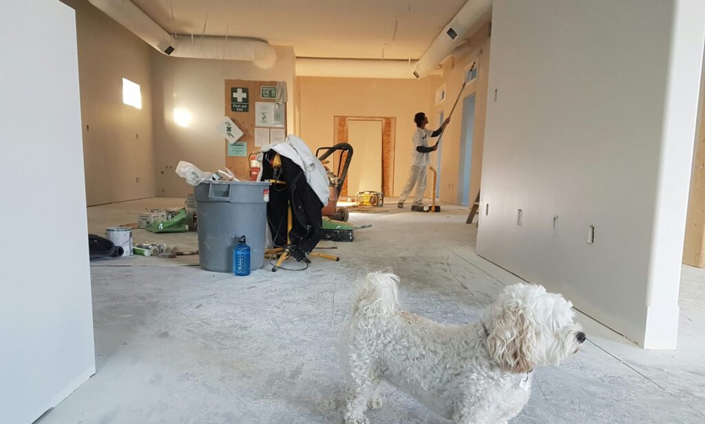 Interior renovation scene with a painter working and a dog in the foreground.