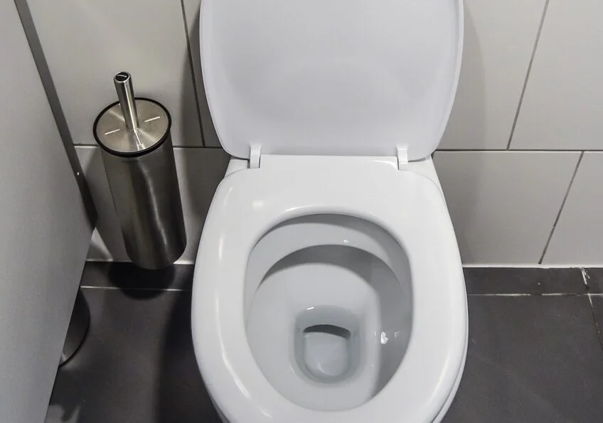 toilet bin